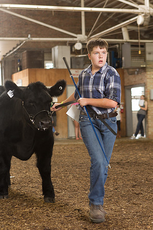 Photograph of Rock County 4-H Fair Taken 7-26-12