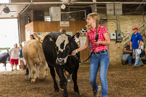 Photograph of Rock County 4-H Fair Taken 7-26-12