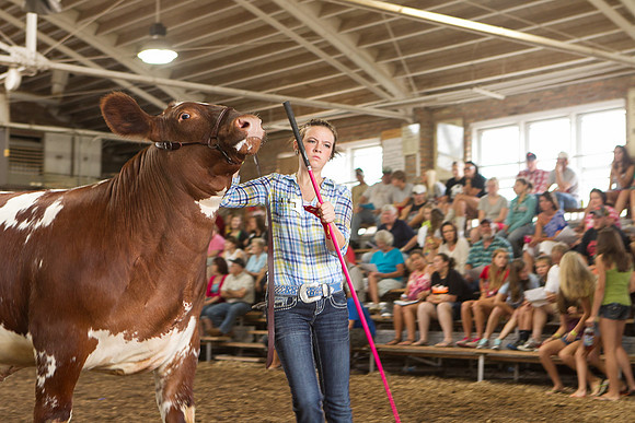 Photograph of Rock County 4-H Fair Taken 7-26-12