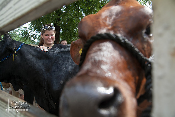 Janesville Photographers Rock County 4-H Fair Photographs