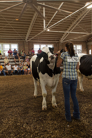 Photograph of Rock County 4-H Fair Taken 7-26-12