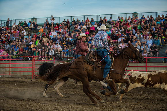 Big Hat Rodeo | Grayslake Rodeo | Lake County Fair
