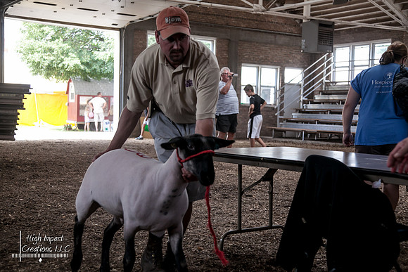 Janesville Photographers Rock County 4-H Fair Photographs
