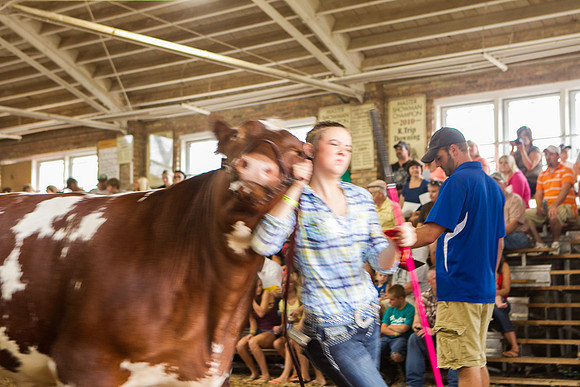 Photograph of Rock County 4-H Fair Taken 7-26-12