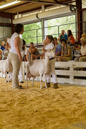 Photograph of Rock County 4-H Fair Taken 7-26-12