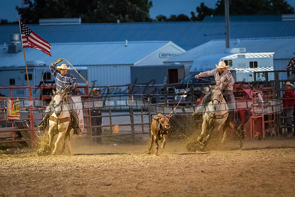 Elkhorn