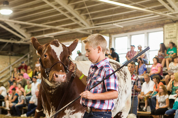 Photograph of Rock County 4-H Fair Taken 7-26-12