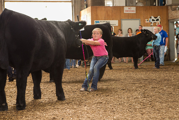 Photograph of Rock County 4-H Fair Taken 7-26-12