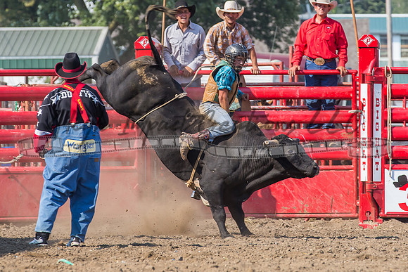 Mendota15-6849