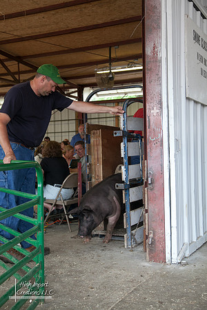 Janesville Photographers Rock County 4-H Fair Photographs