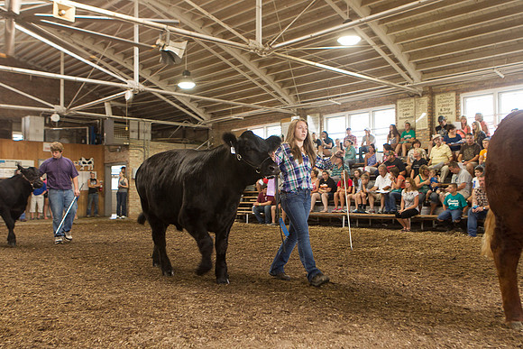 Photograph of Rock County 4-H Fair Taken 7-26-12
