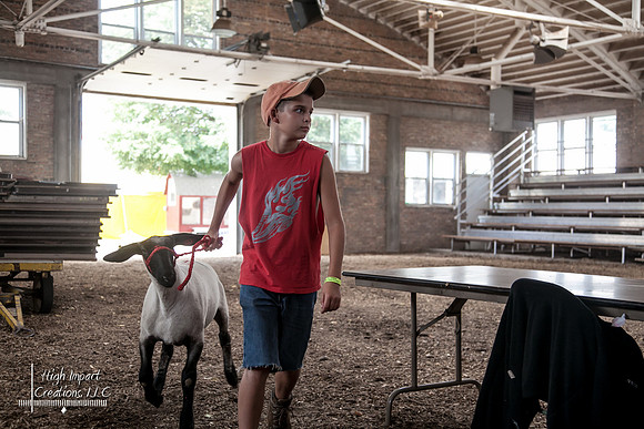 Janesville Photographers Rock County 4-H Fair Photographs