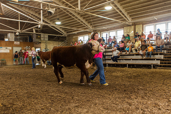 Photograph of Rock County 4-H Fair Taken 7-26-12