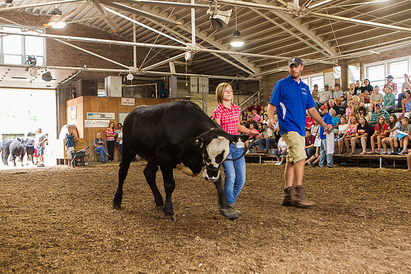 Photograph of Rock County 4-H Fair Taken 7-26-12