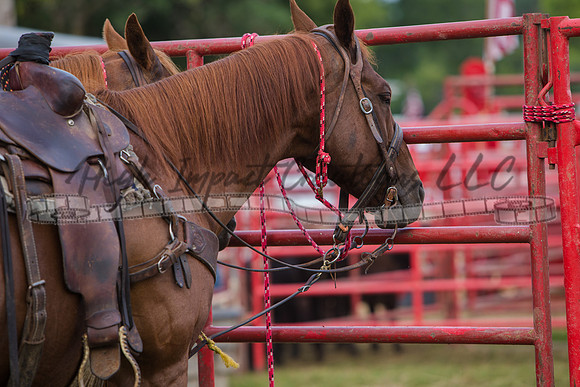 Big Hat Rodeo | Rockford 8-22-14