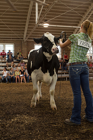 Photograph of Rock County 4-H Fair Taken 7-26-12