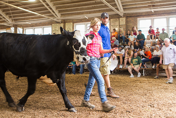 Photograph of Rock County 4-H Fair Taken 7-26-12