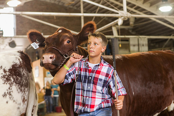 Photograph of Rock County 4-H Fair Taken 7-26-12