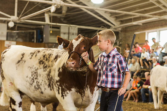 Photograph of Rock County 4-H Fair Taken 7-26-12