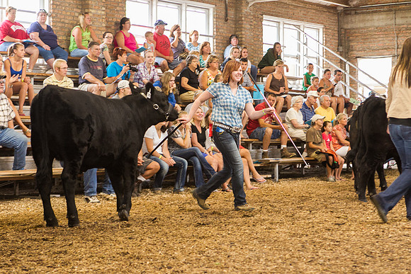Photograph of Rock County 4-H Fair Taken 7-26-12