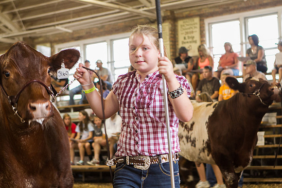 Photograph of Rock County 4-H Fair Taken 7-26-12