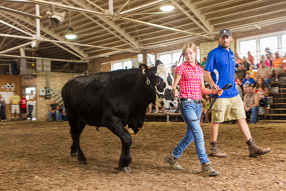 Photograph of Rock County 4-H Fair Taken 7-26-12