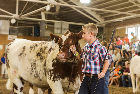 Photograph of Rock County 4-H Fair Taken 7-26-12