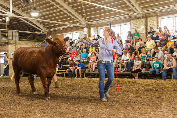 Photograph of Rock County 4-H Fair Taken 7-26-12