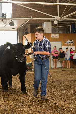 Photograph of Rock County 4-H Fair Taken 7-26-12