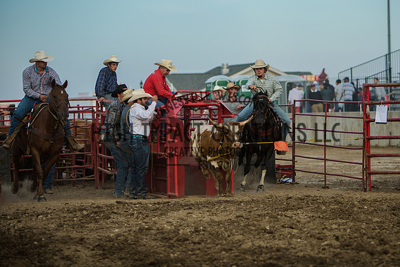 Big Hat Rodeo | Grayslake Rodeo | Lake County Fair