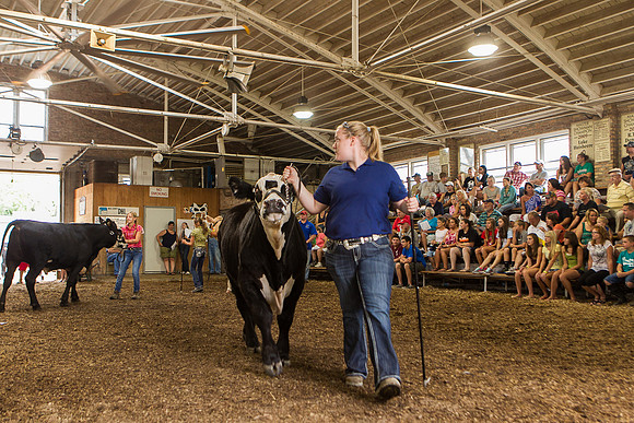 Photograph of Rock County 4-H Fair Taken 7-26-12