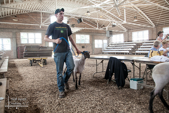 Janesville Photographers Rock County 4-H Fair Photographs