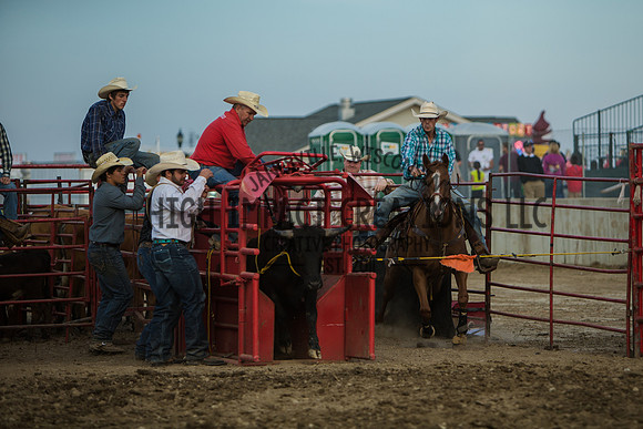 Big Hat Rodeo | Grayslake Rodeo | Lake County Fair