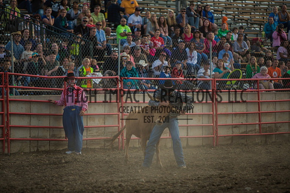 Big Hat Rodeo | Grayslake Rodeo | Lake County Fair