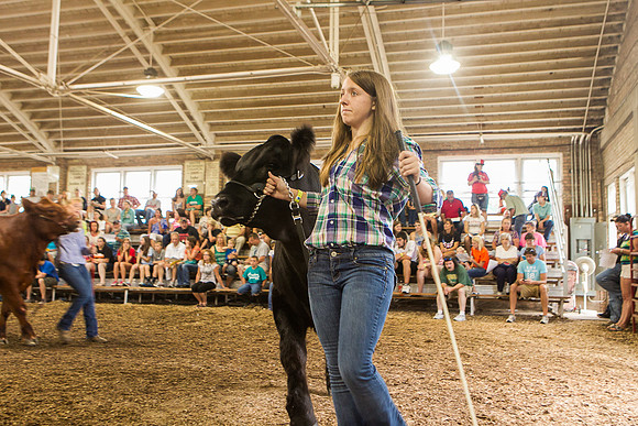 Photograph of Rock County 4-H Fair Taken 7-26-12
