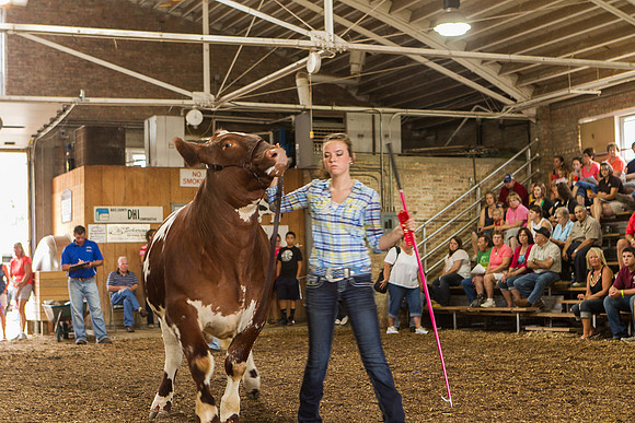 Photograph of Rock County 4-H Fair Taken 7-26-12
