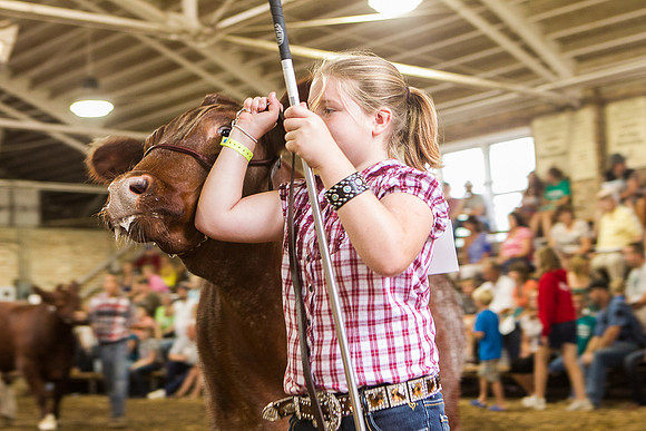 Photograph of Rock County 4-H Fair Taken 7-26-12