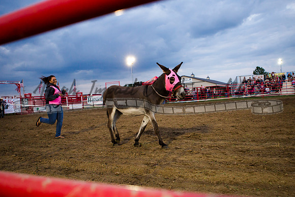 Tri-County Rodeo | Big Hat Rodeo