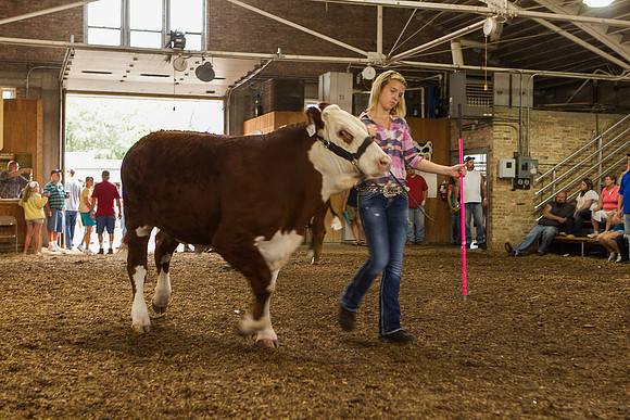 Photograph of Rock County 4-H Fair Taken 7-26-12