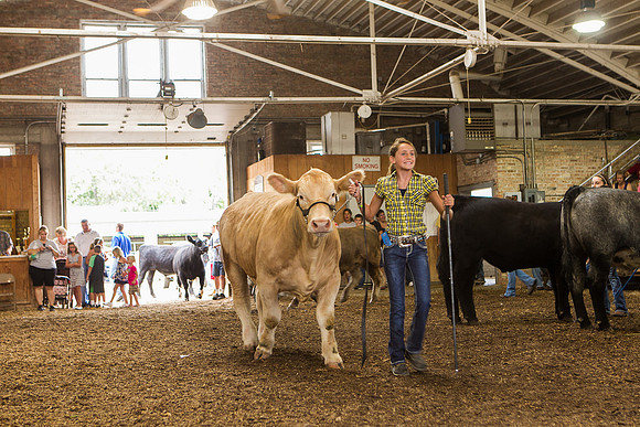 Photograph of Rock County 4-H Fair Taken 7-26-12