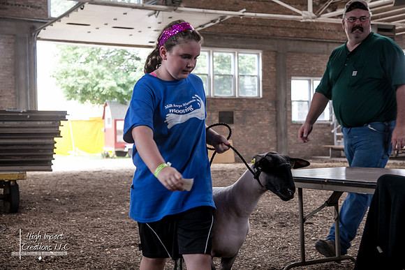 Janesville Photographers Rock County 4-H Fair Photographs