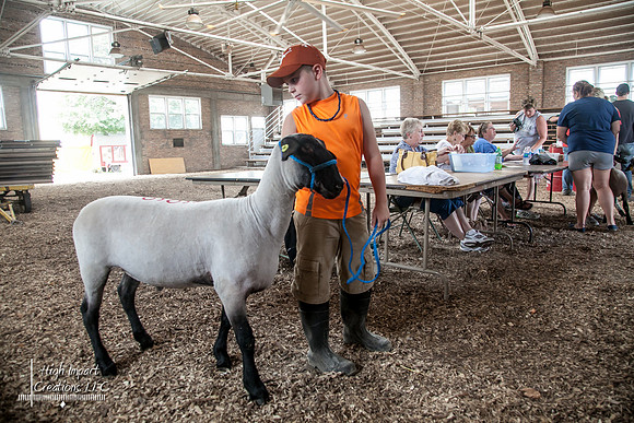 Janesville Photographers Rock County 4-H Fair Photographs