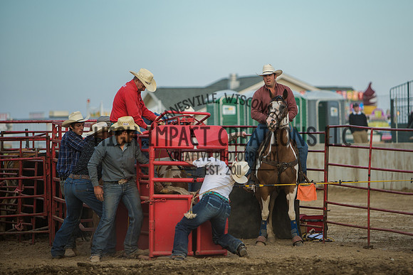 Big Hat Rodeo | Grayslake Rodeo | Lake County Fair