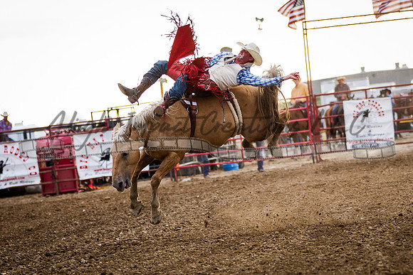 Grayslake