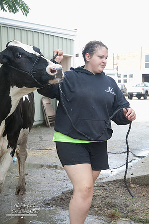 Janesville Photographers Rock County 4-H Fair Photographs