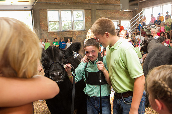 Photograph of Rock County 4-H Fair Taken 7-26-12