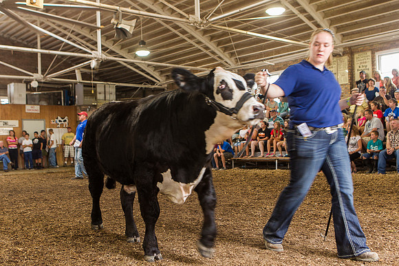 Photograph of Rock County 4-H Fair Taken 7-26-12