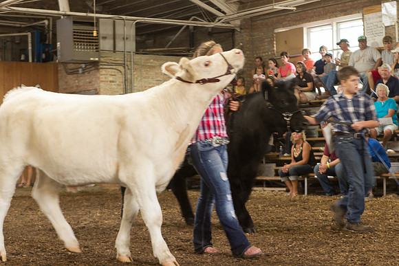 Photograph of Rock County 4-H Fair Taken 7-26-12