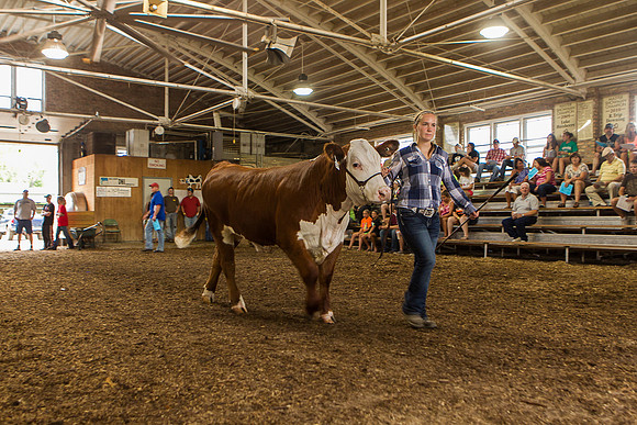 Photograph of Rock County 4-H Fair Taken 7-26-12