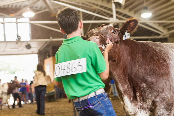 Photograph of Rock County 4-H Fair Taken 7-26-12